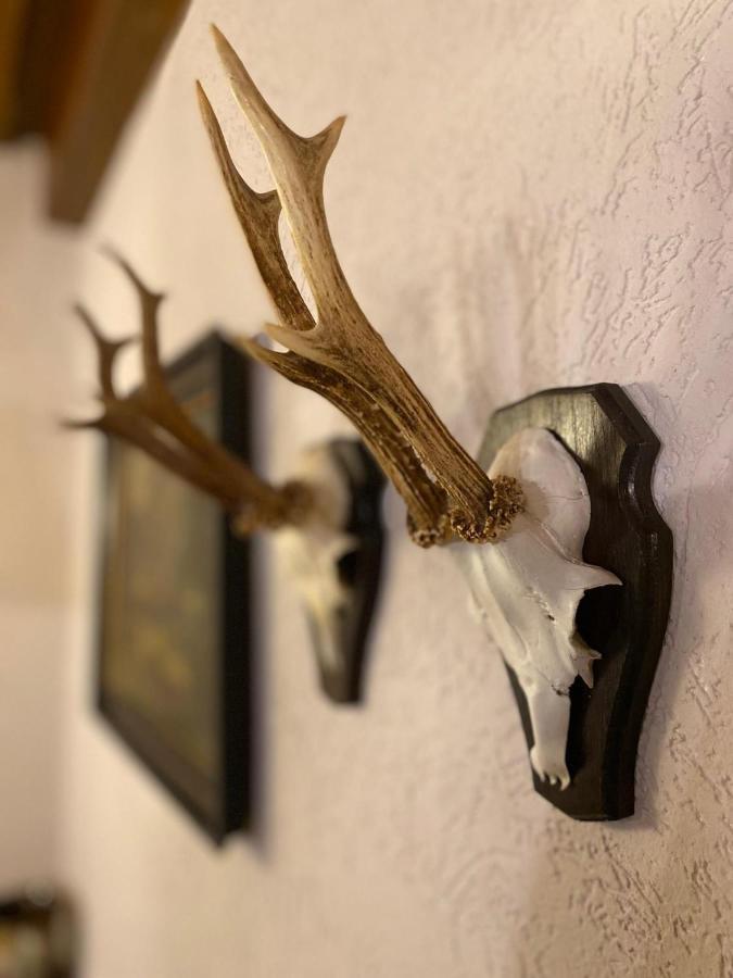 Gasthof Scherer Mühlbach am Hochkönig Εξωτερικό φωτογραφία